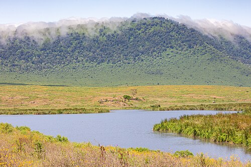 Landscape in Tanzania