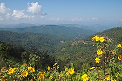Landscape in Thailand, mae hong son forest hills