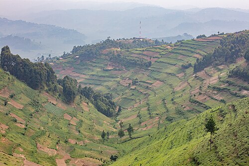 Landscape in Uganda, paisaje en ruhija rubanda dd
