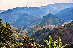 Landscape in Uganda, after rainforest