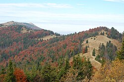 Landscape in Ukraine, carpathians