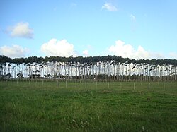 Landscape in Uruguay, countryside montevideo