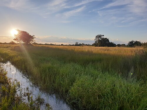 Landscape in Zambia, afternoon