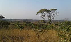 Landscape in Zambia, zambeze victoria falls or mosi oa tunya panoramio