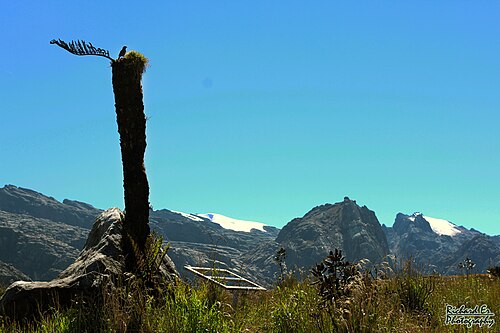 The mountain Puncak Jaya, carstensz pyramid
