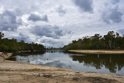 The river Murray, kulkyne park