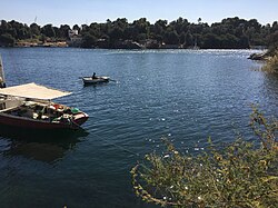 The river Nile, look garden plants with