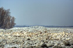 The river Ob, icedamob