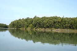 The river Ob